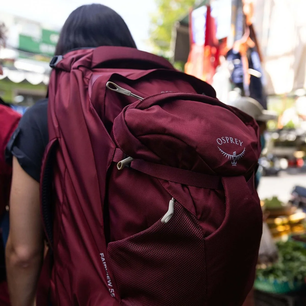 Osprey Fairview 55L – Image 9