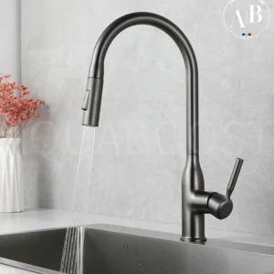 Mitigeur de cuisine SWAN