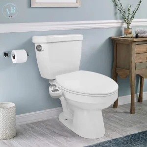 Aquaclean™ - Toilette japonaise sans électricité
