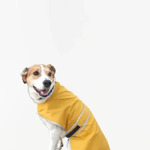 Capa impermeable para mascota amarilla Talla M
