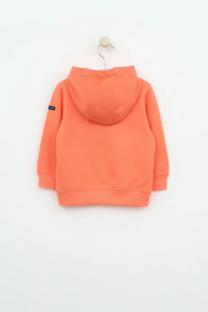 Chaqueta bebé de algodón Terry con capucha – Image 3