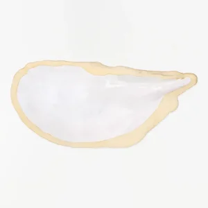 Bandeja con forma de ostra de cerámica