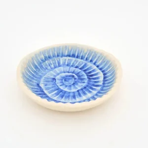 Cuenco con caracola azul pintada grande