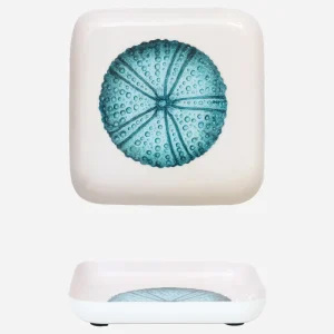 Bandeja metal erizo de mar