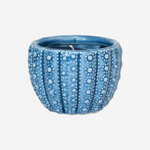 Vela decorativa en erizo marino Ø: 8,8 cm