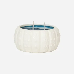 Vela decorativa en erizo marino Ø: 9,8 cm