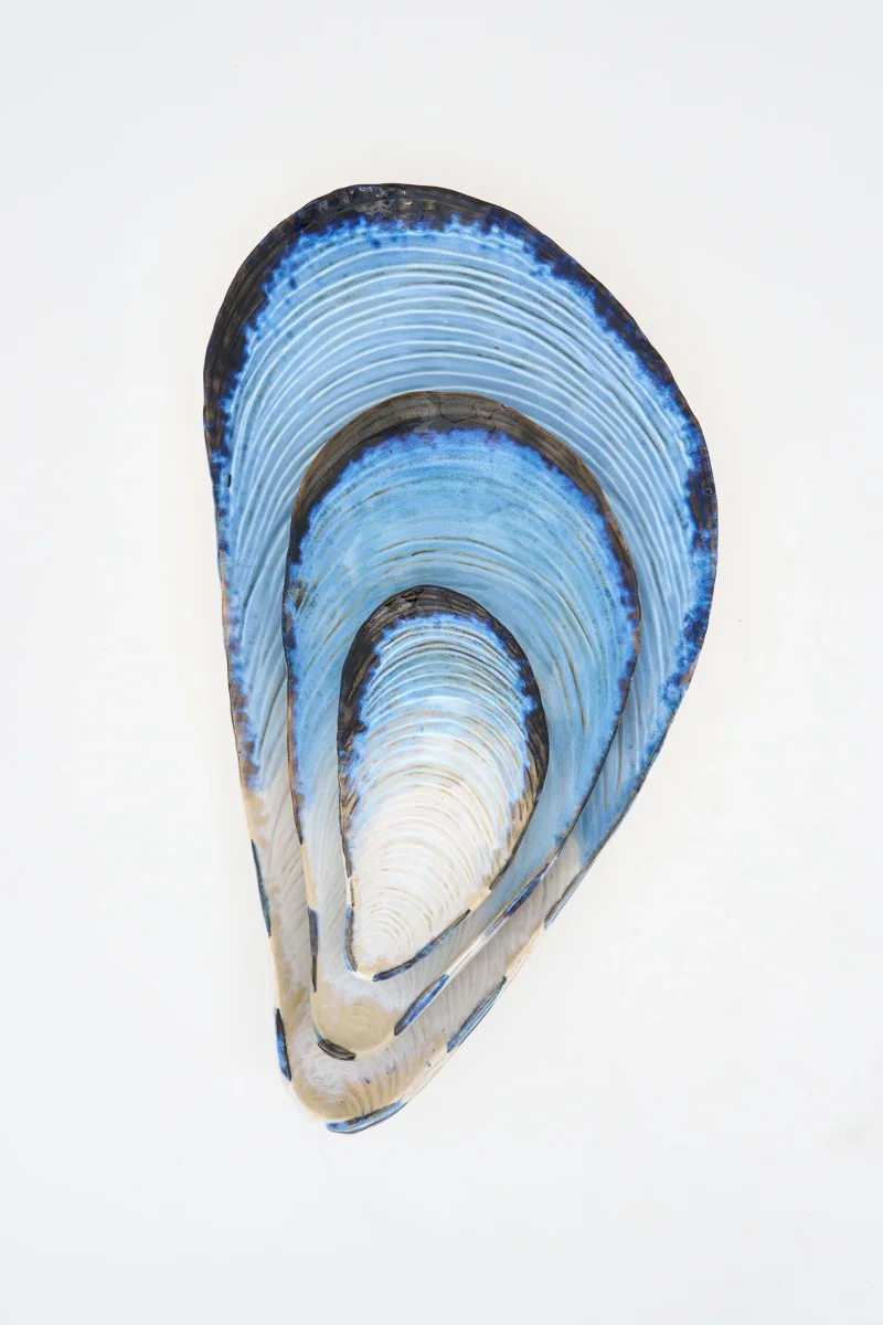 Bandeja con forma de mejillón L: 37,3 cm – Image 5