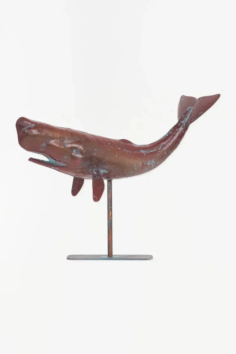 Cachalote con base en metal tamaño grande – Image 4