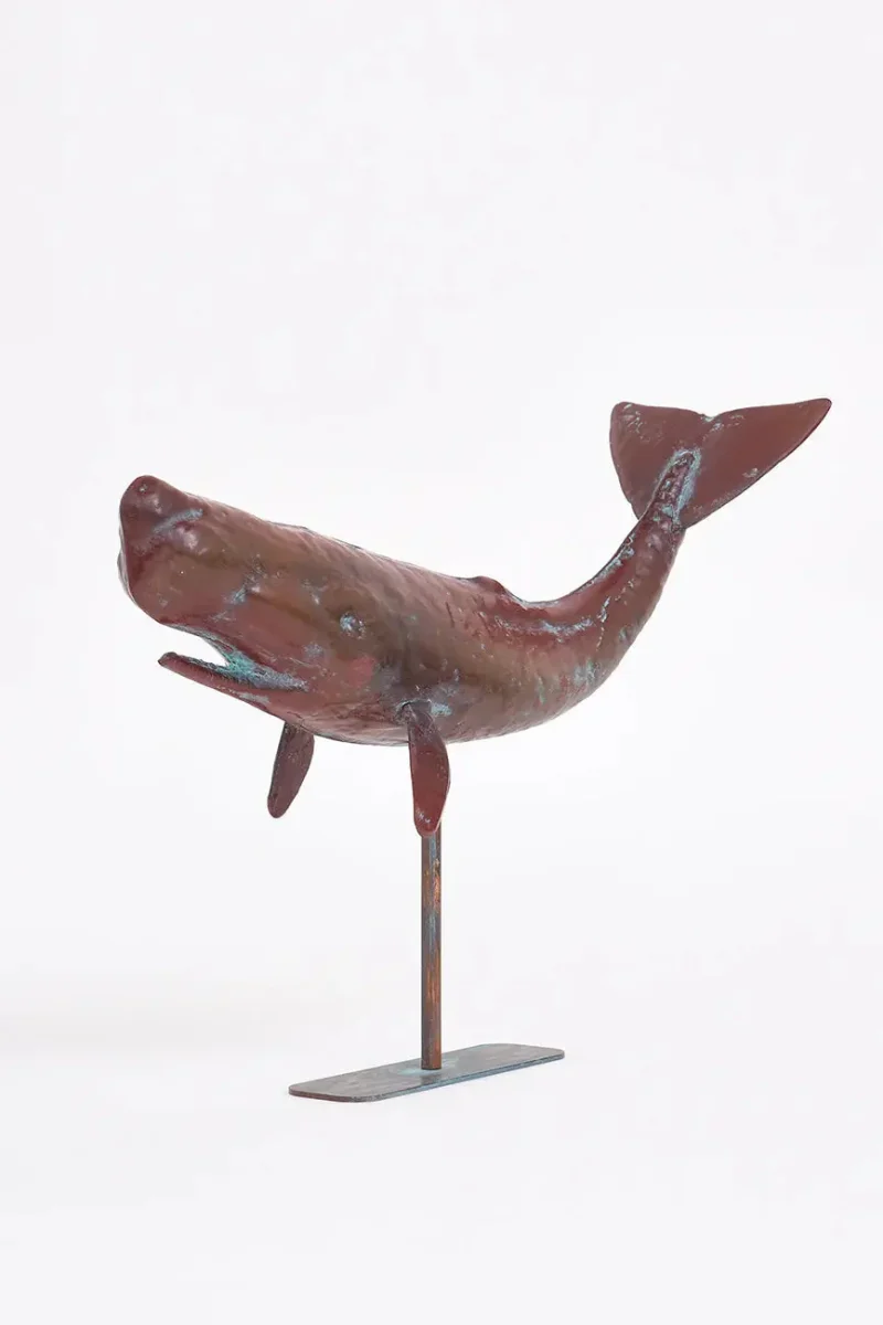 Cachalote con base en metal tamaño grande – Image 2