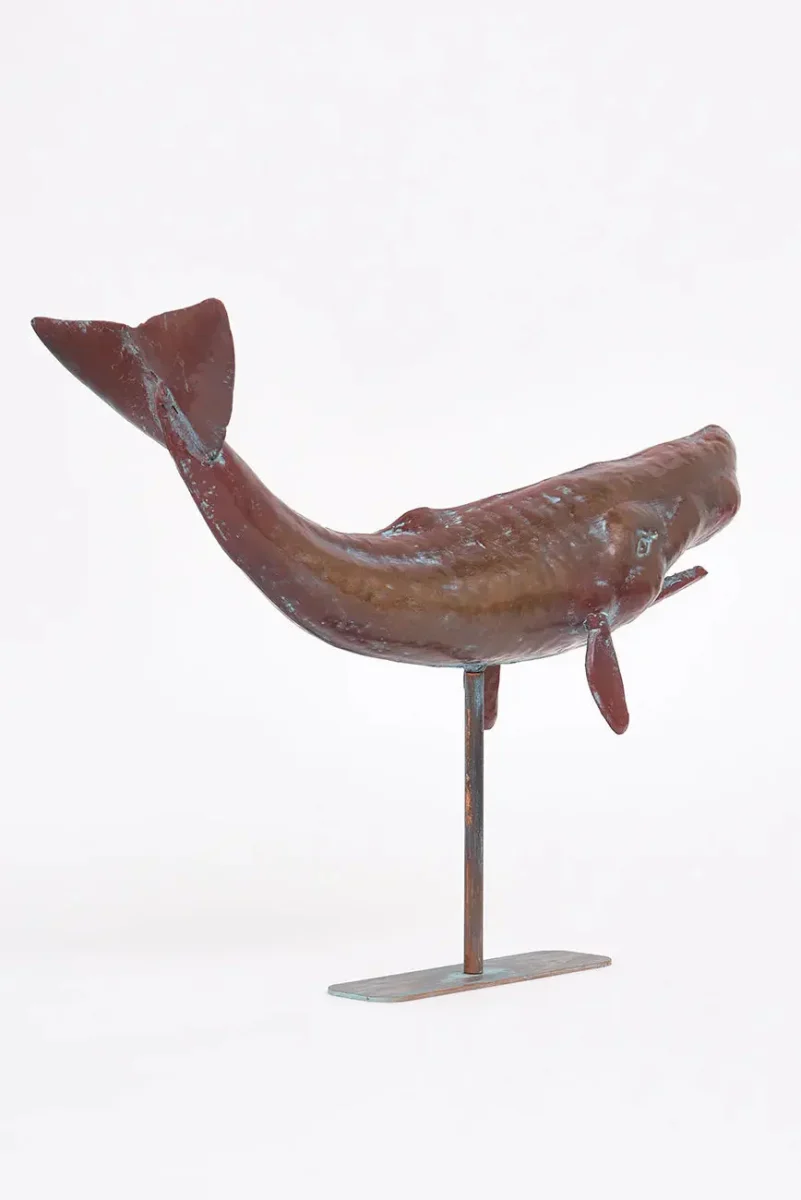 Cachalote con base en metal tamaño grande – Image 5