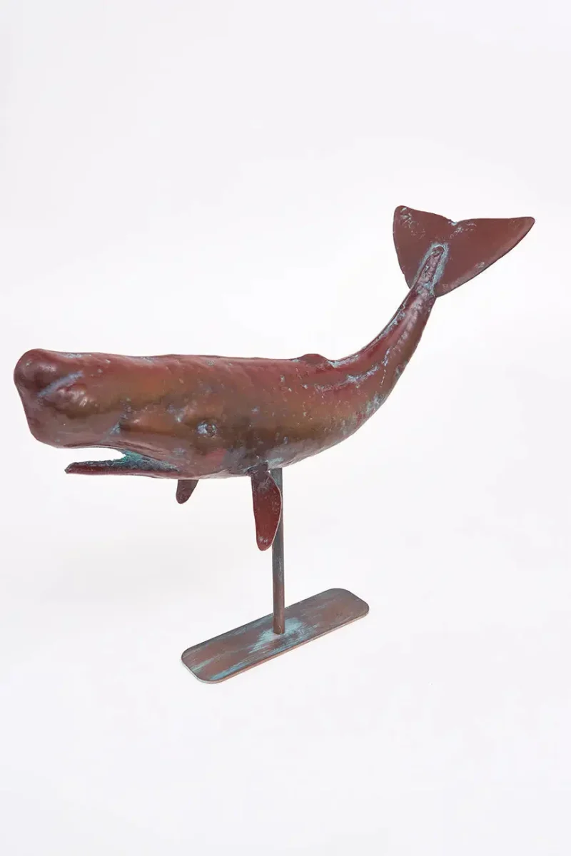 Cachalote con base en metal tamaño grande – Image 8