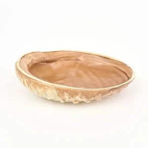 Plato o cuenco con forma de concha en cerámica