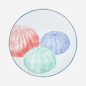 Plato grande de gres con erizo de mar