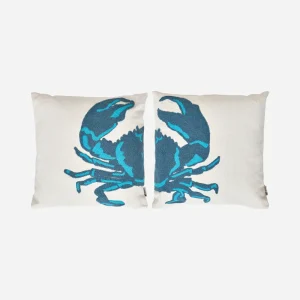 Set de 2 cojines bordados