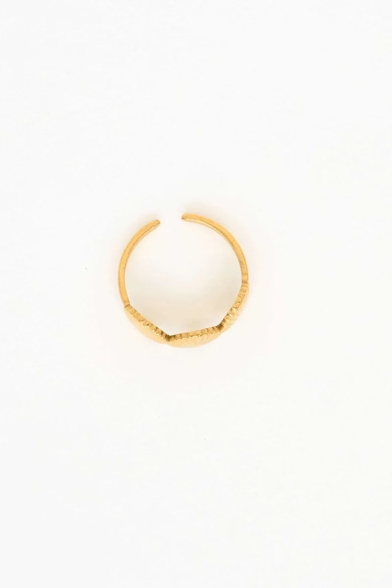 Anillo dorado con detalle de conchas – Image 4