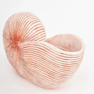 Caracola de resina grande