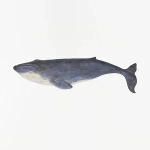 Figura de una ballena de resina para pared