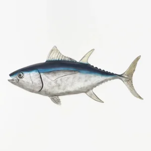 Figura realista de atún hecha en resina para pared