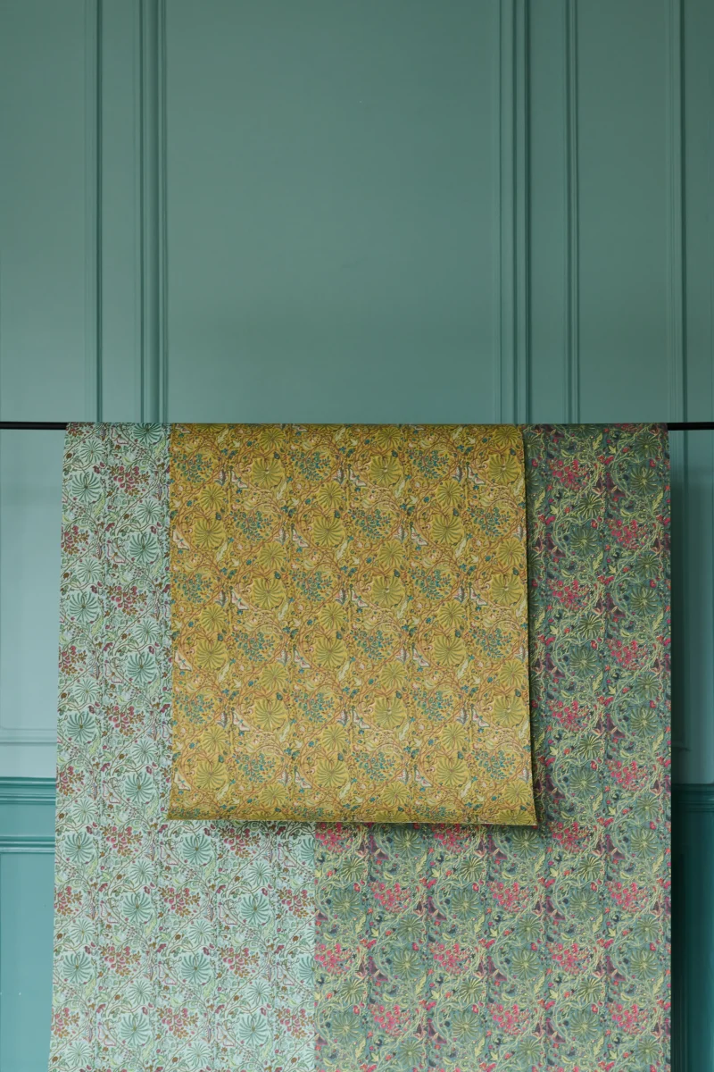 Papier Peint Papilio vert – Image 4