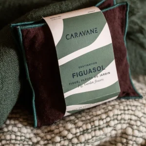 Coussinets Voyage Imaginaire