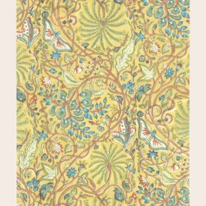 Papier Peint Papilio curcuma