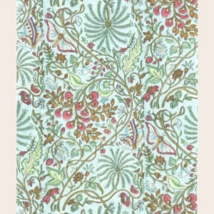 Papier Peint Papilio glacier