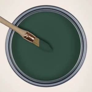 Peinture La Canopée