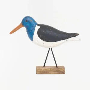 Precioso pájaro costero con base