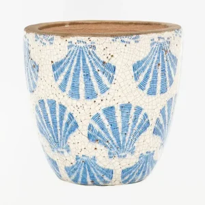 Tiesto mediano de terracota con conchas azules