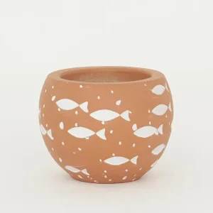 Tiesto o maceta de cemento con peces