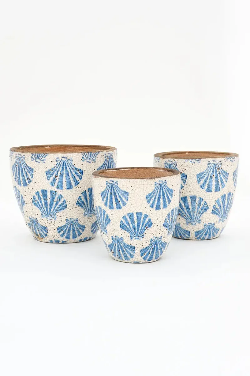 Tiesto pequeño de terracota con conchas azules – Image 5