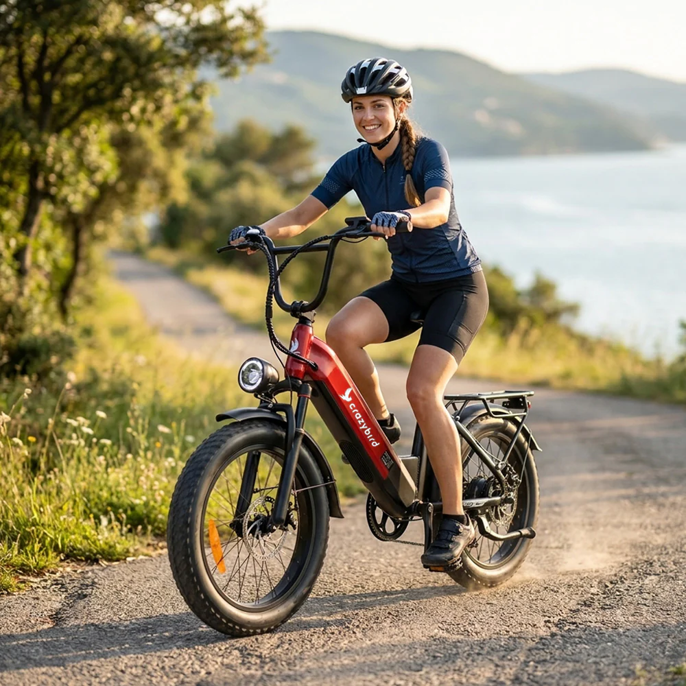 Crazybird CB12 velo electrique femme – Image 3