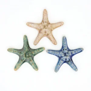 Set de 3 estrellas de mar de gres
