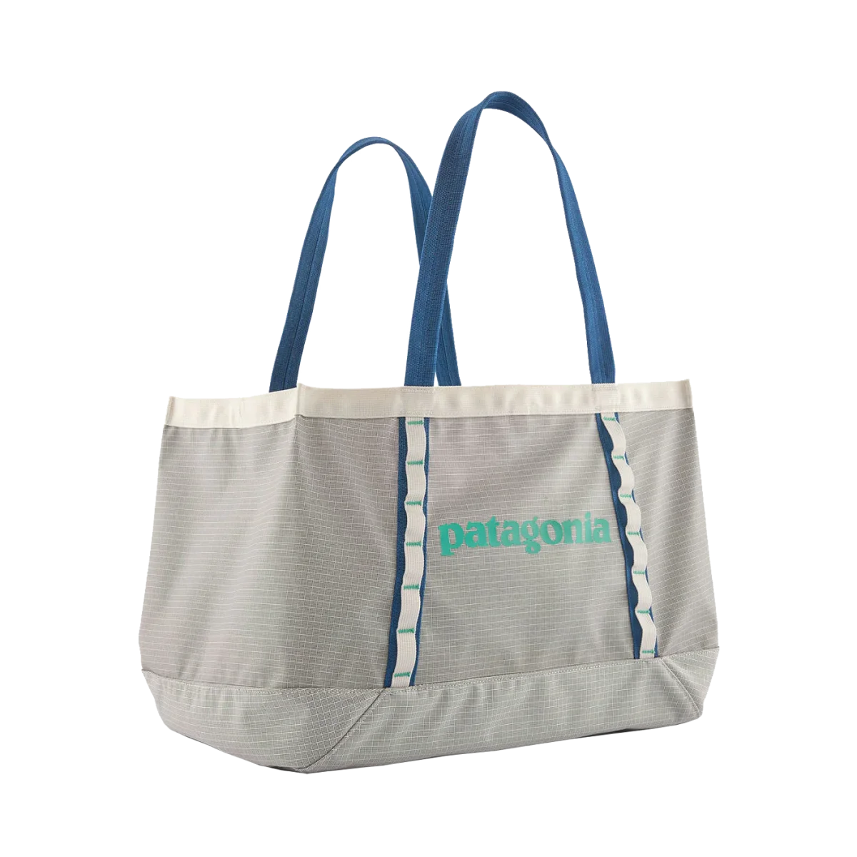 Patagonia Black Hole Tote 31L