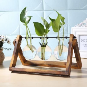 Terrarium en ampoule - TERRA
