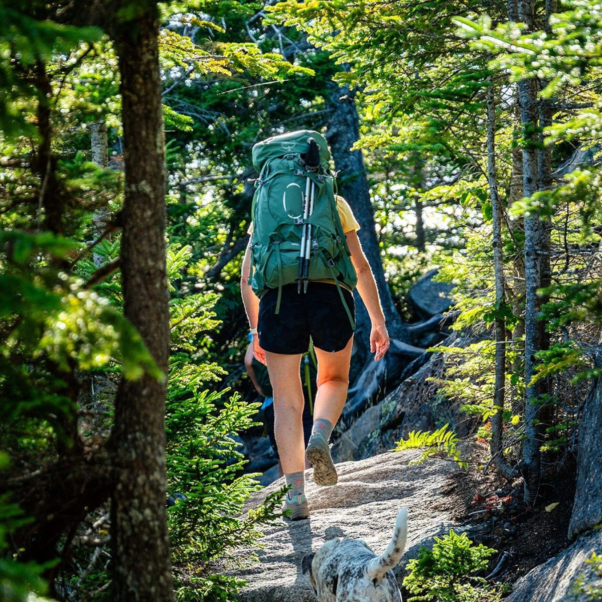 Osprey Ariel 55L – Image 9