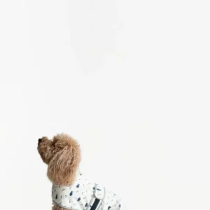 Capa impermeable para mascota "peces" Talla S